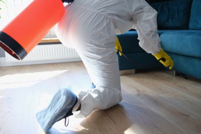 Pest Fumigation Service in Ann Arbor, MI