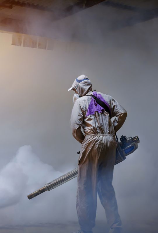 Spider Fumigation Service in West Palm Beach, FL